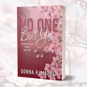No One But You: Small Town Enemies to Lovers (Book 1 in the Orlinda Valley Series)