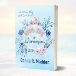 Sand, Sea, and Shenanigans Novella