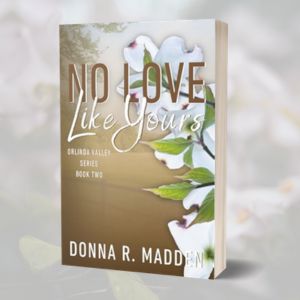 No Love Like Yours: Small town, Brother's Best Friend Romance (Book 2 in the Orlinda Valley Series)